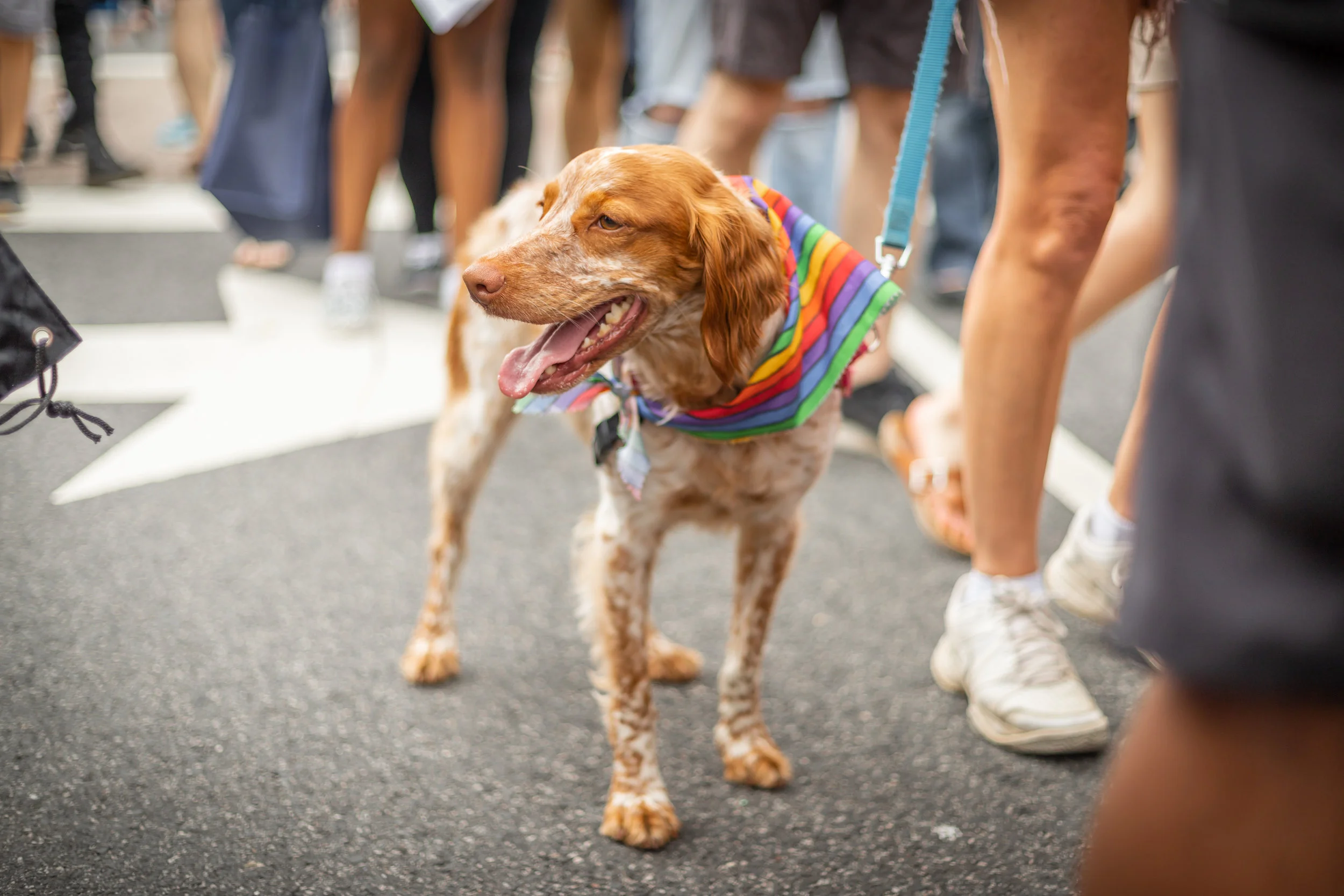 Off Leash MKE's Pride Month Celebration