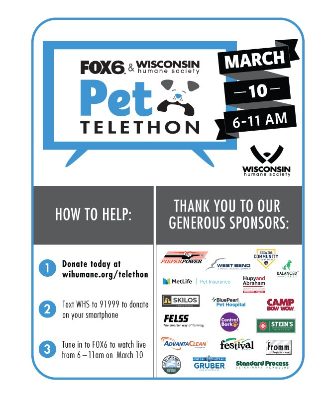 Off Leash MKE Supports the Fox6 &amp; WHS Pet Telethon