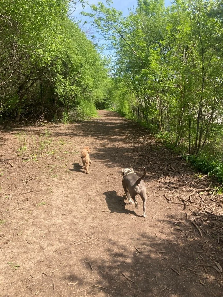 Currie Park 1.jpeg