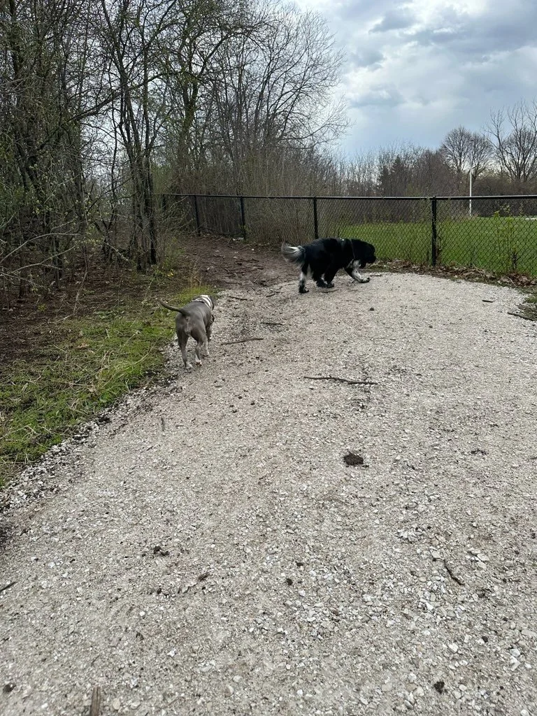 Currie Park 3.jpeg