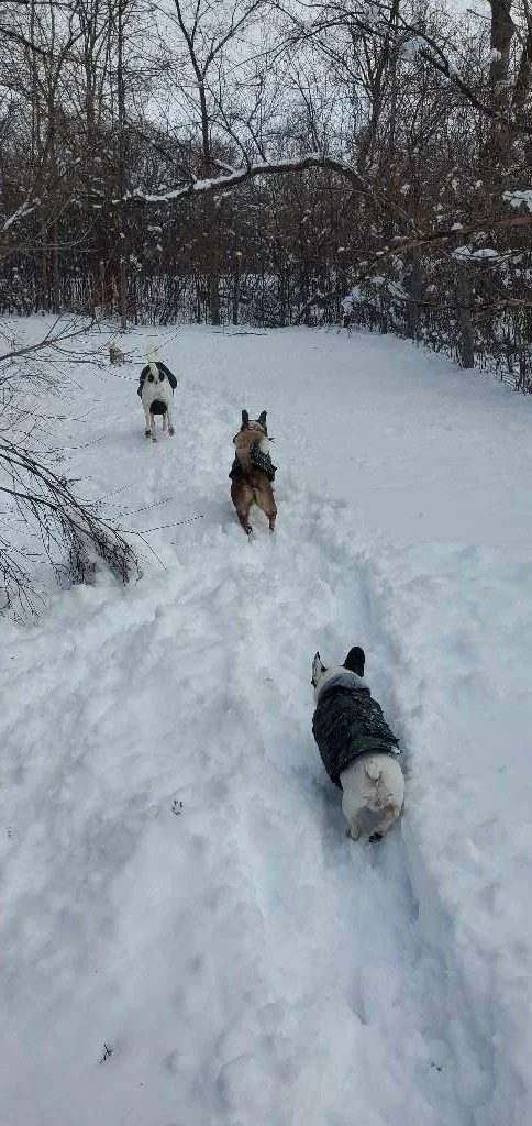 Muttland Meadows 1.jpeg