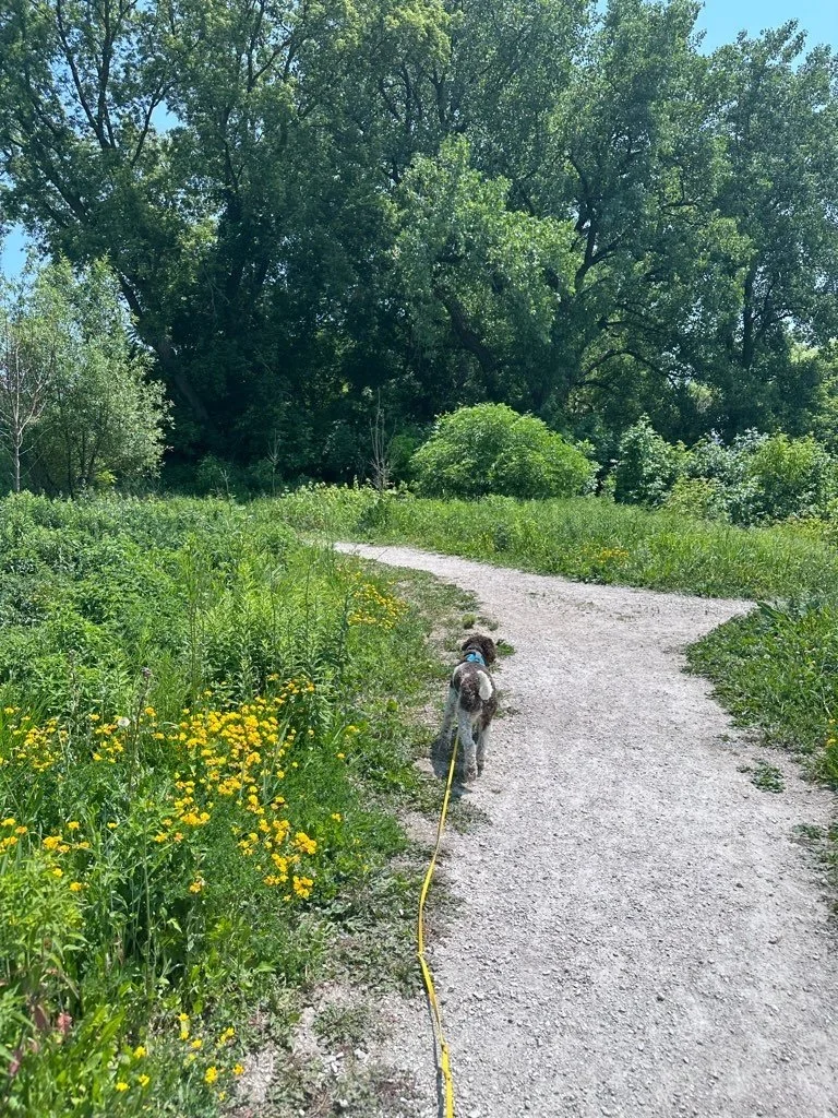 Urban Ecology Center 3.jpeg