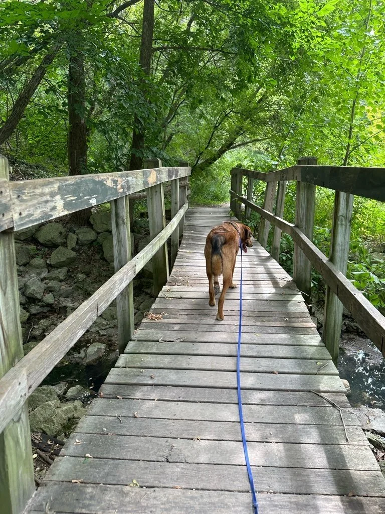 Riverside Park 2.jpeg