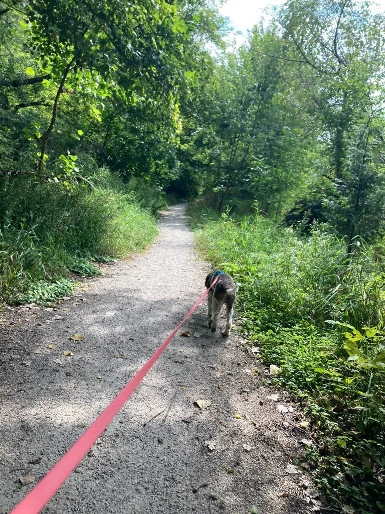 Riverside Park.jpeg