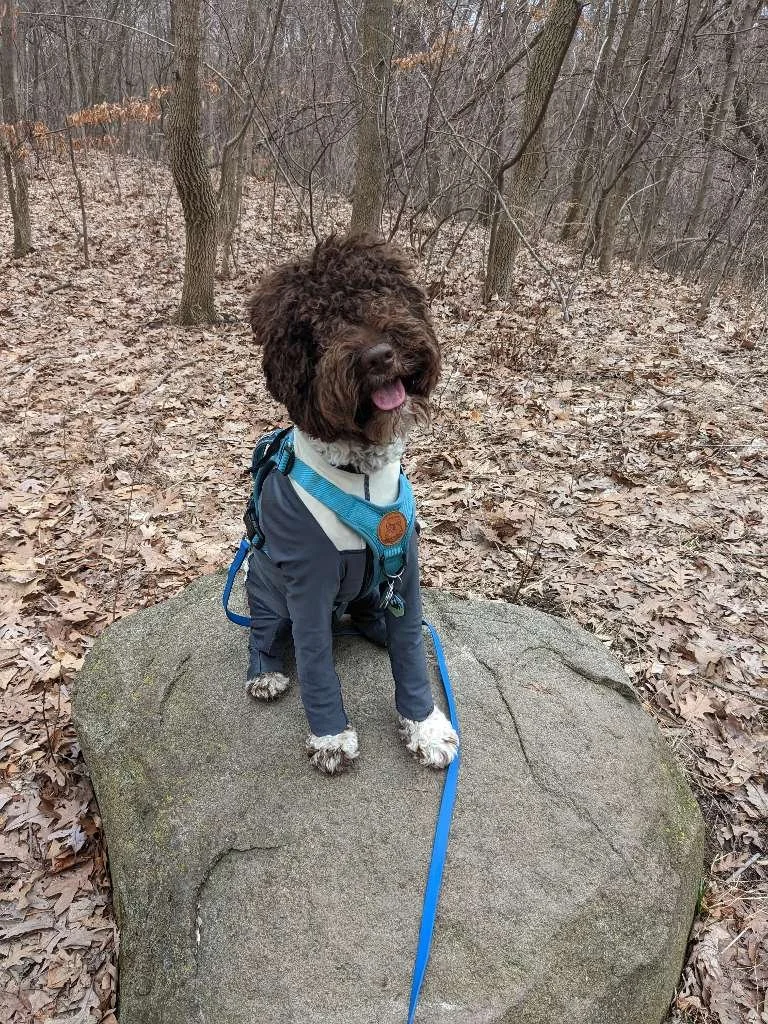 Riverside Park 3.jpeg