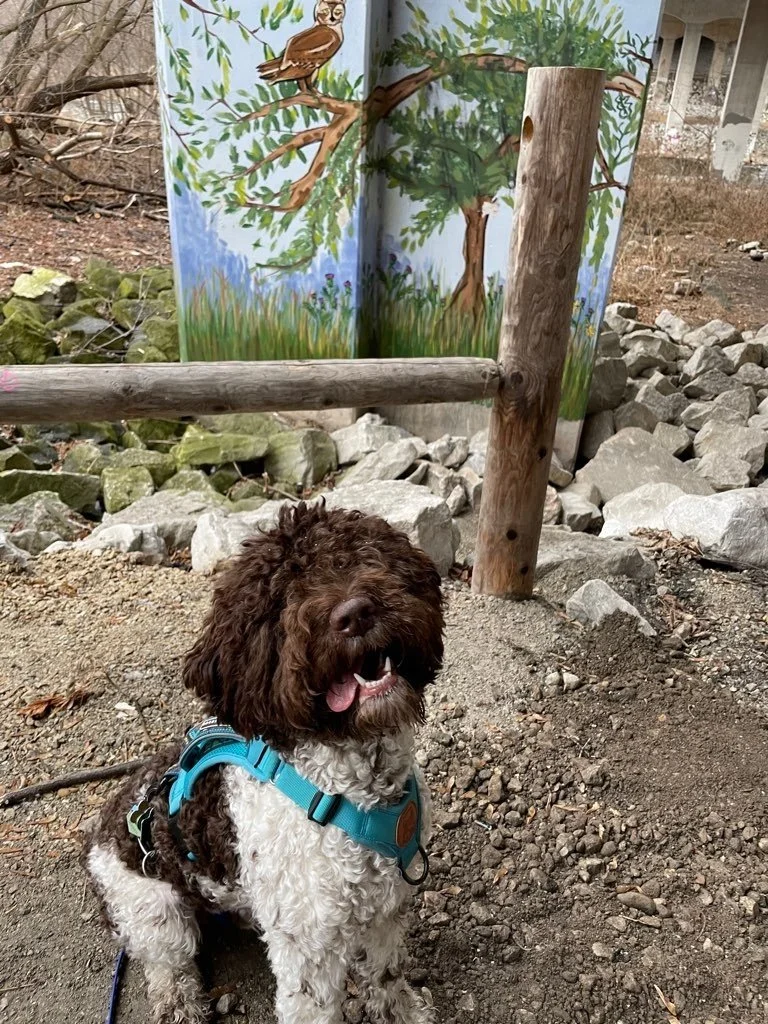 Riverside Park 6.jpeg