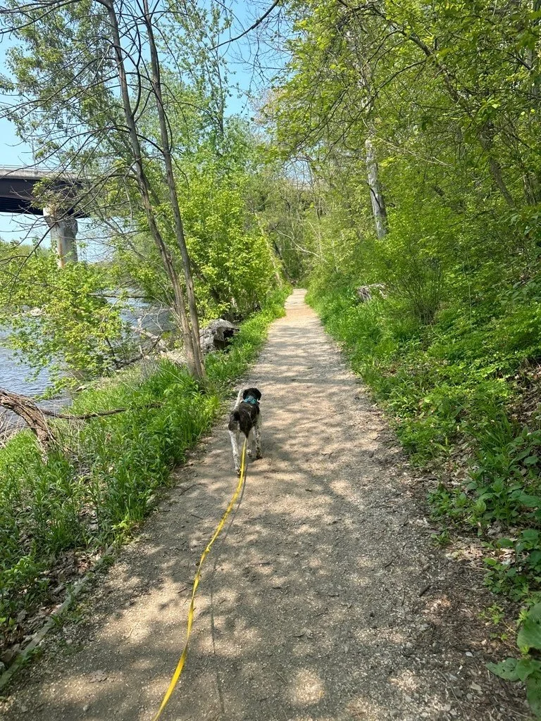 Riverside Park 7.jpeg