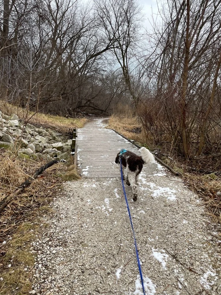 Riverside Park 8.jpeg
