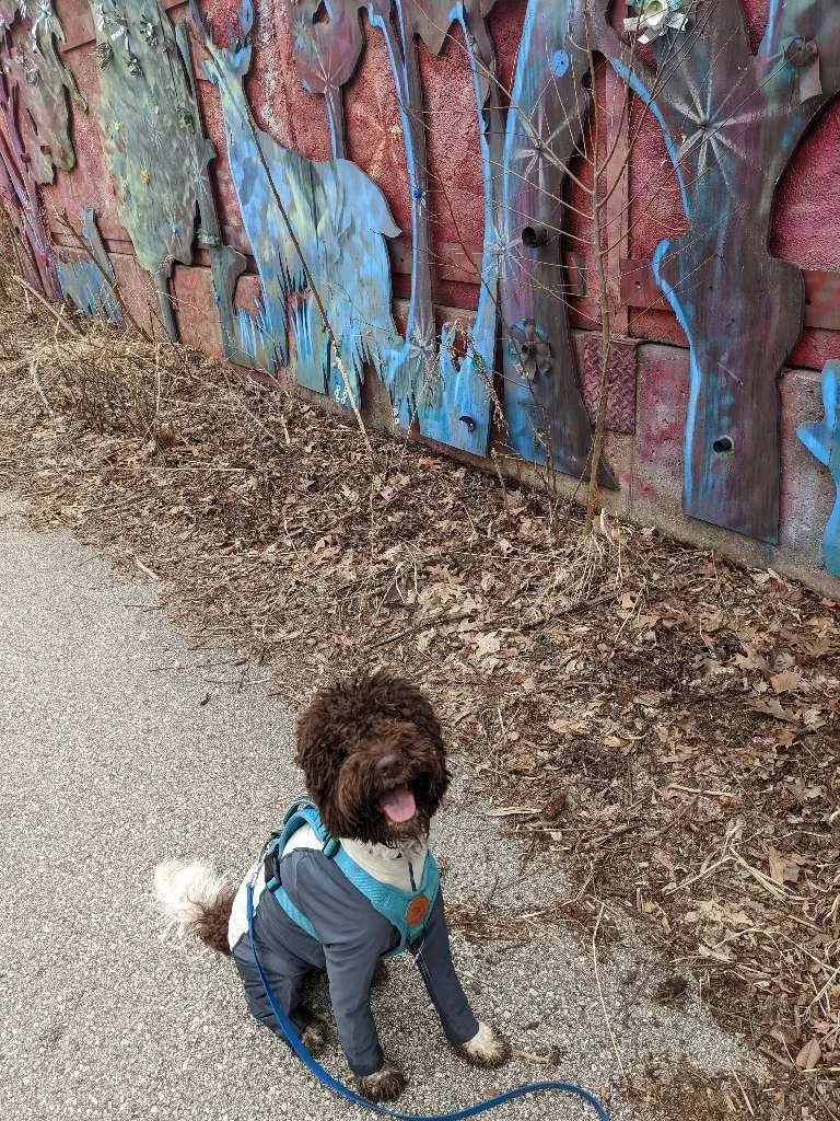 Riverside Park 12.jpeg