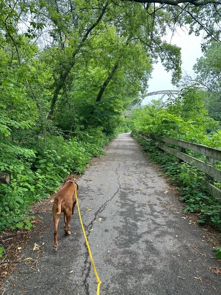 Riverside Park 11.jpeg
