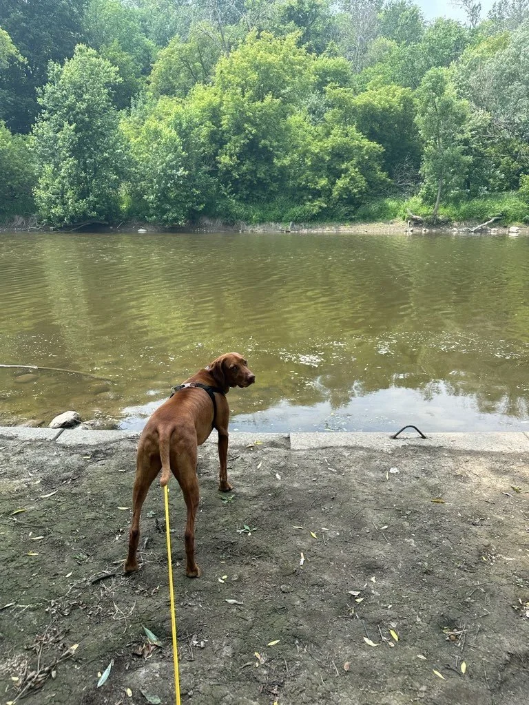 Riverside Park 13.jpeg