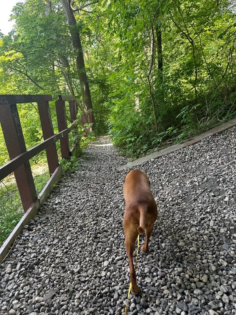 Riverside Park 14.jpeg