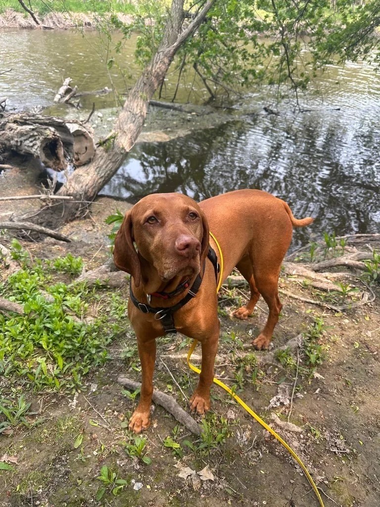 Riverside Park 15.jpeg