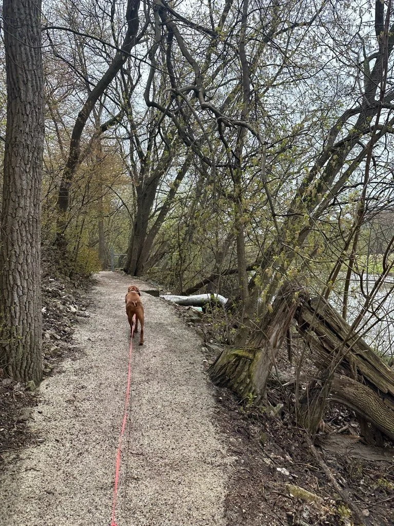 Riverside Park 16.jpeg
