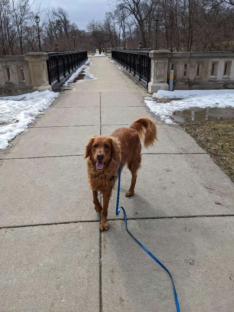 Lake Park 6.jpeg