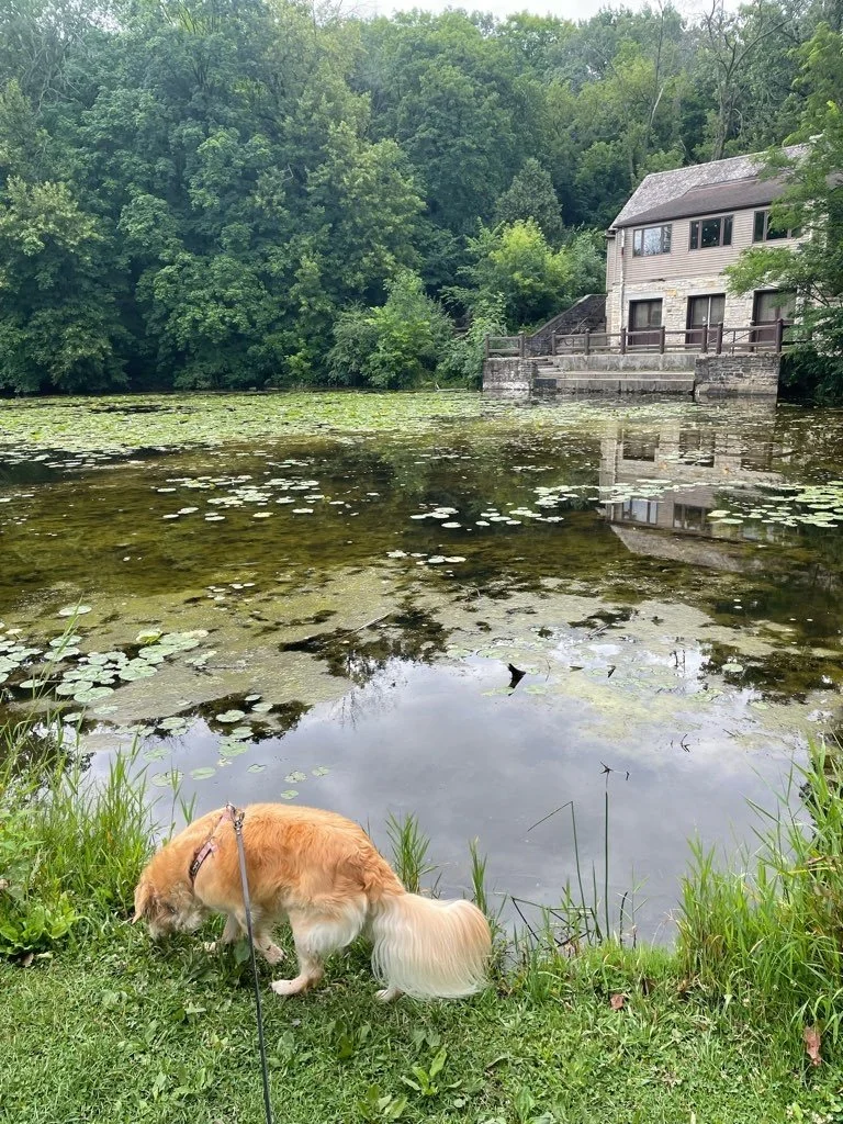 Jacobus Park 2.jpeg