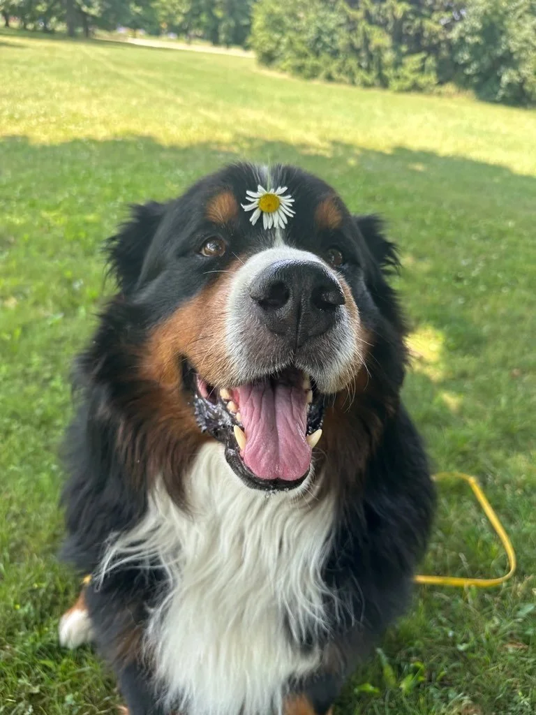 Kletzsch Park 3.jpeg