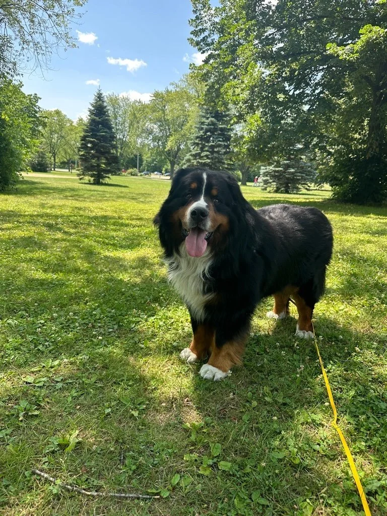 Kletzsch Park 5.jpeg