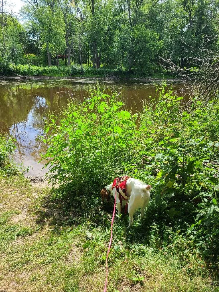 Kletzsch Park 3.jpeg