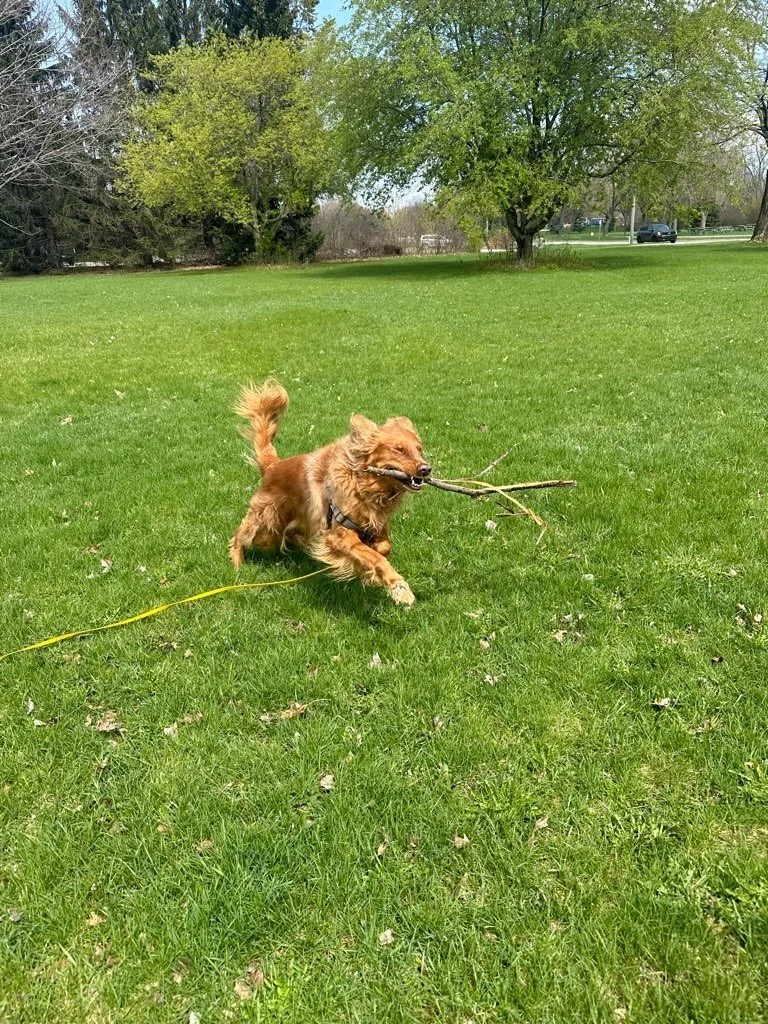 Kletzsch Park 1.jpeg