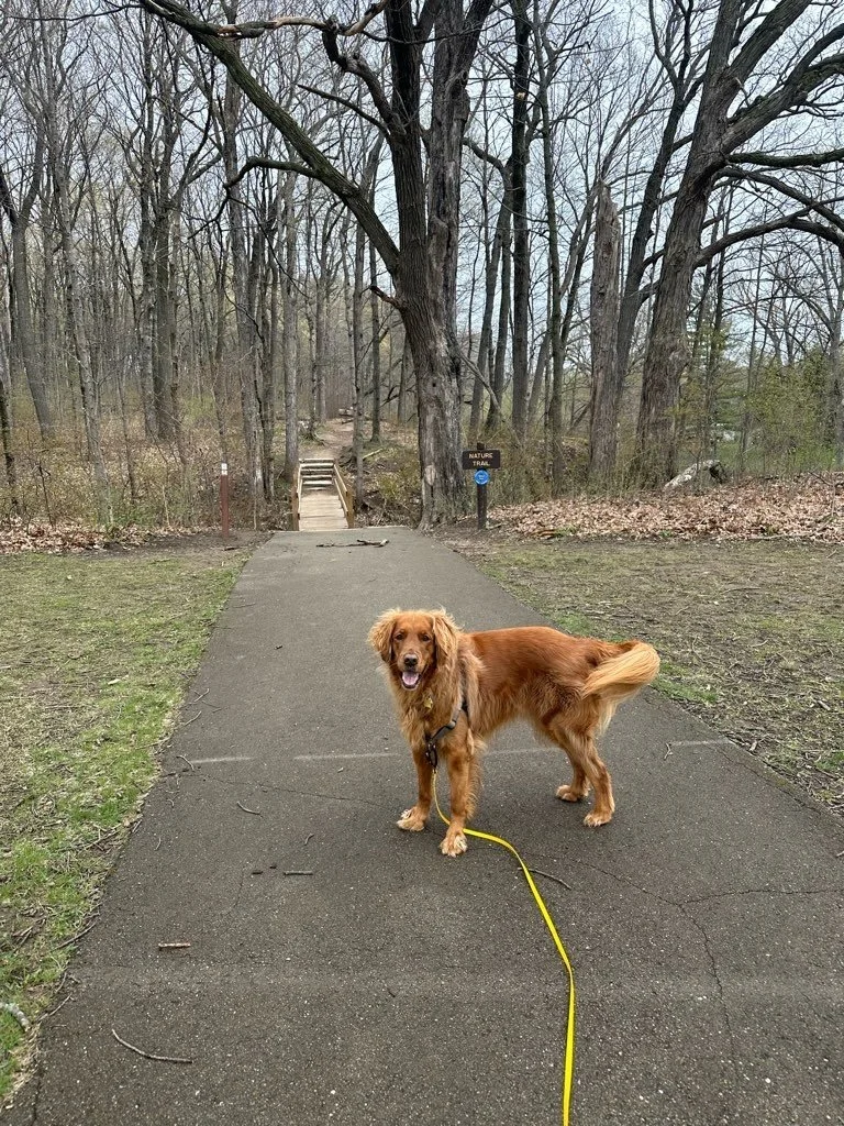Kletzsch Park.jpeg