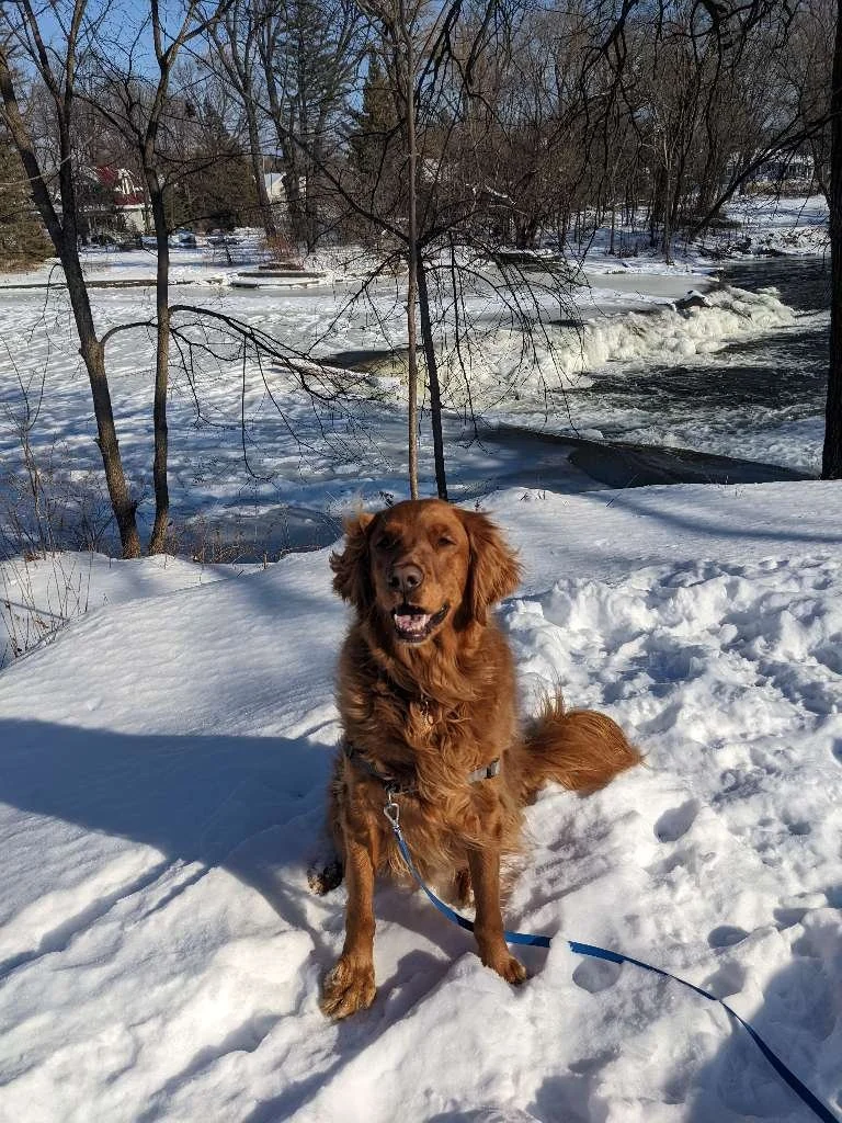 Kletzsch Park 4.jpeg
