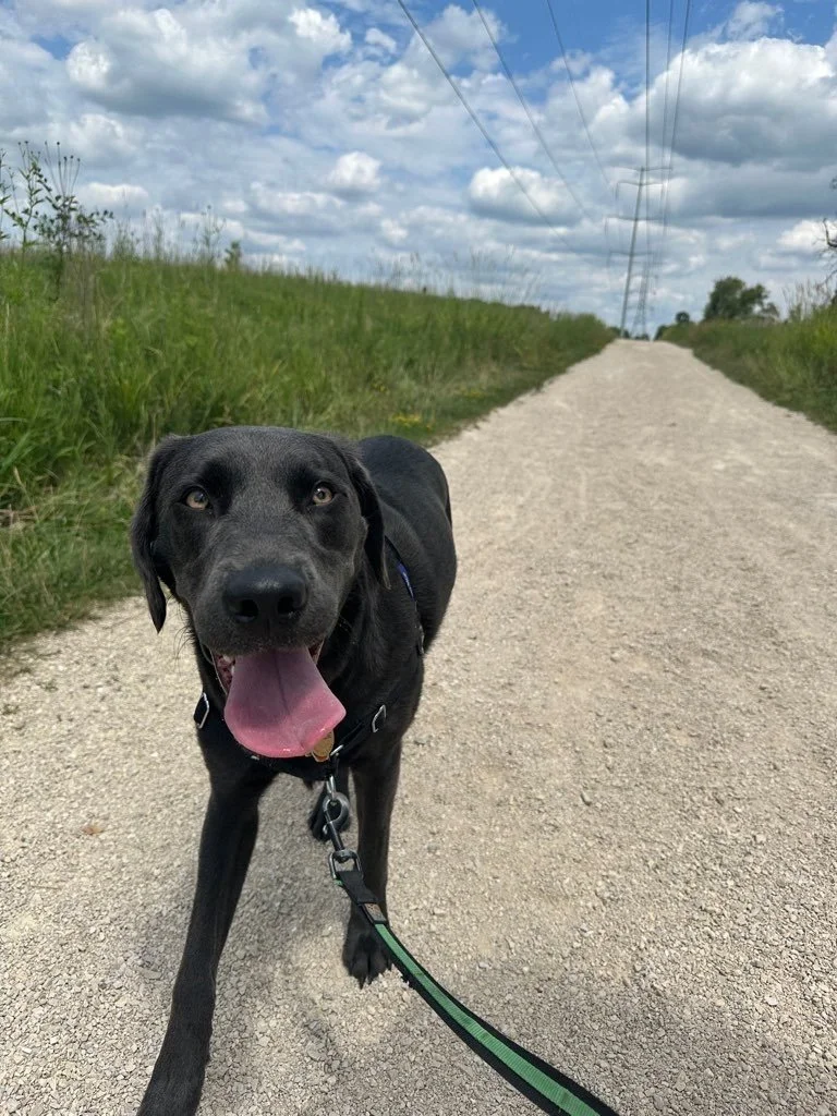 Mequon Nature Preserve.jpeg