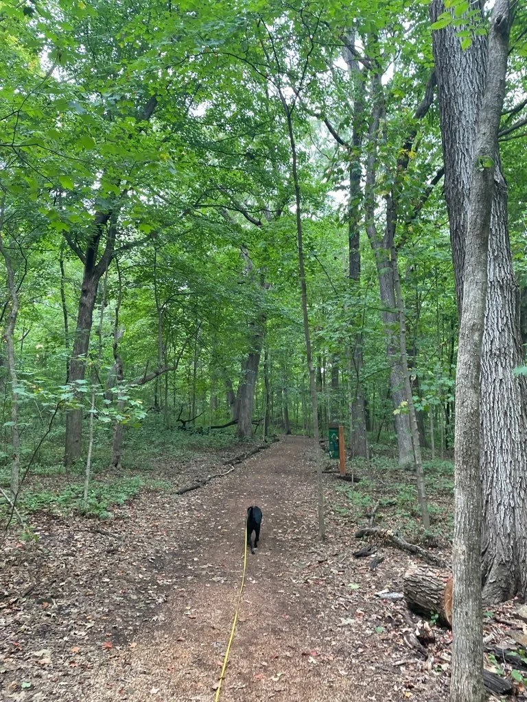 Forest Exploration Center 3.jpeg