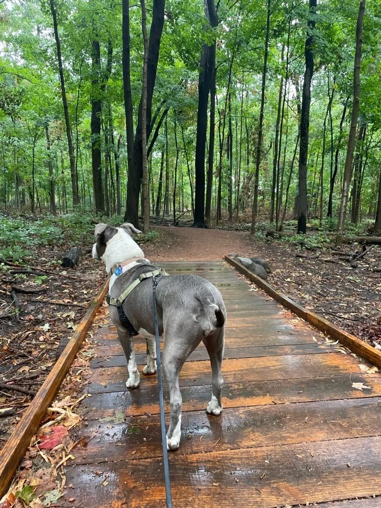 Forest Exploration Center 4.jpeg