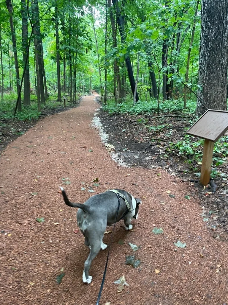 Forest Exploration Center 5.jpeg