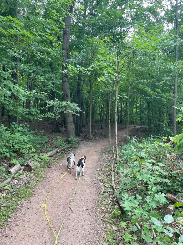 Forest Exploration Center 8.jpeg
