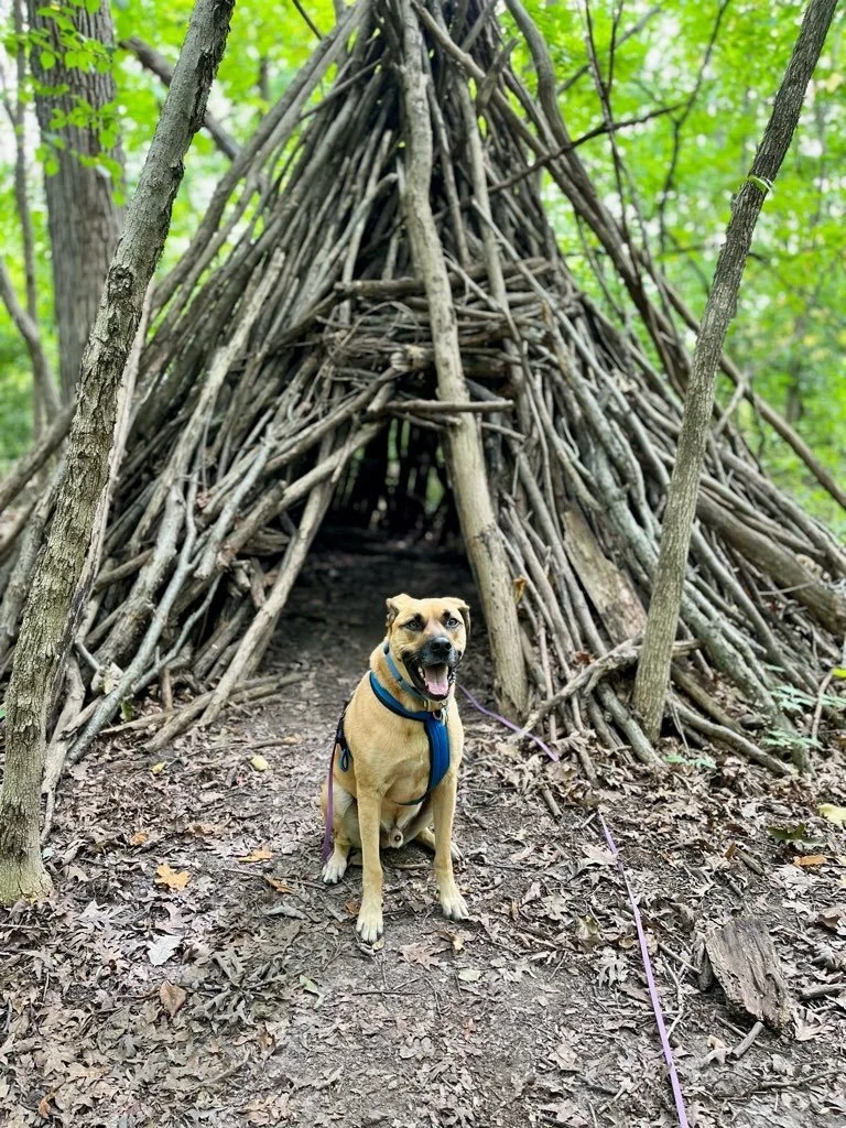 Forest Exploration Center 9.jpeg