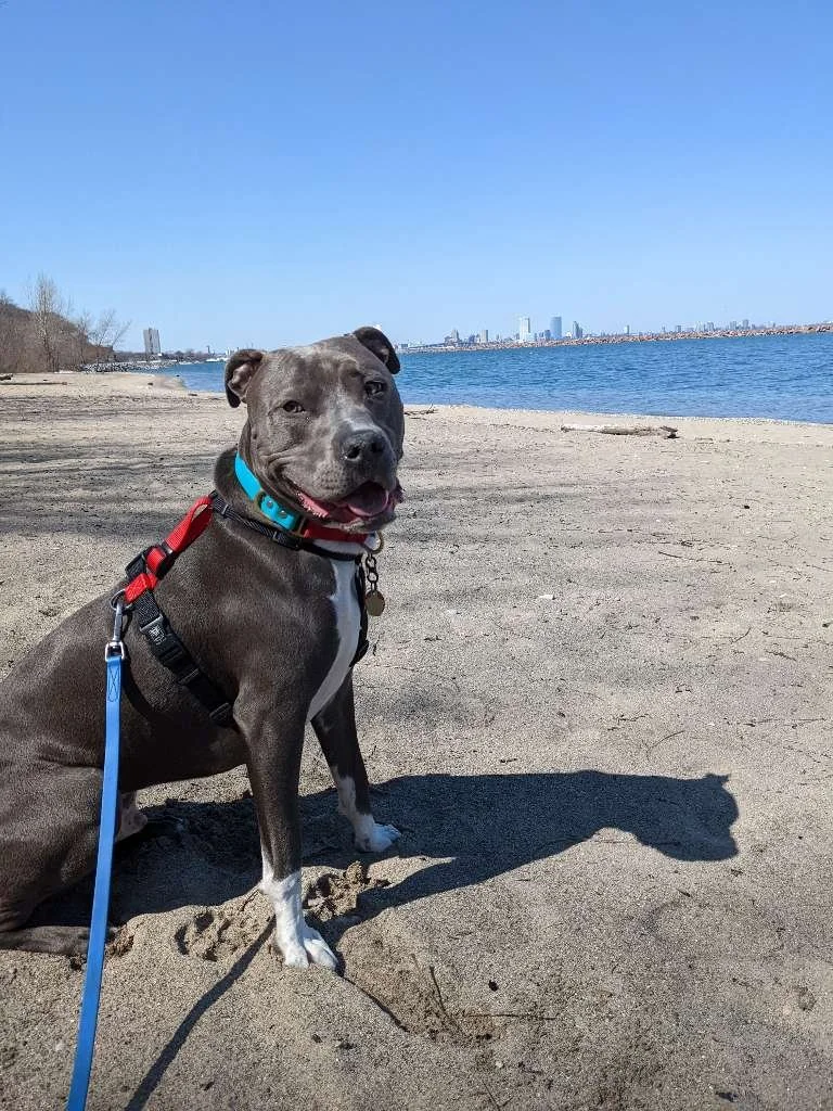 Bay View Park 2.jpeg