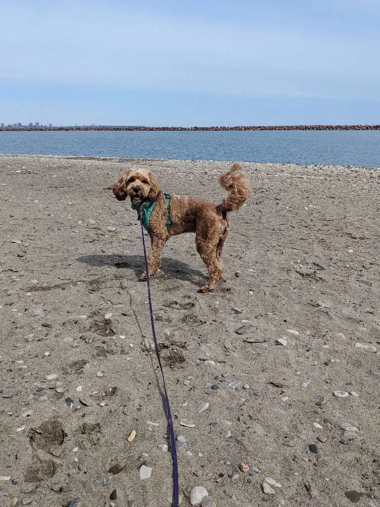 Bay View Park 13.jpeg