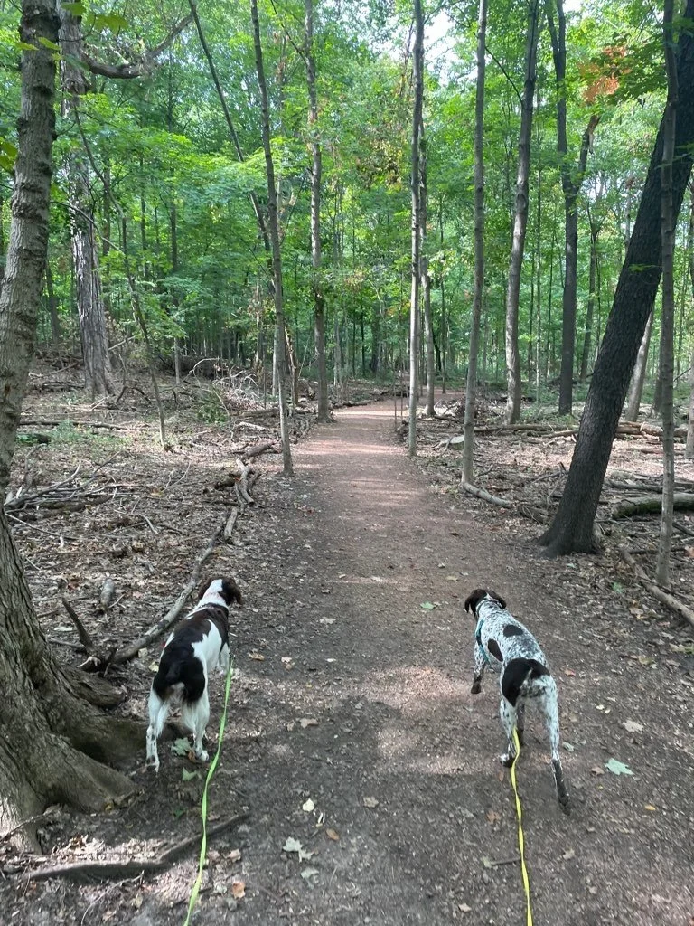 Milwaukee’s Dog-Friendly Parks & Trails