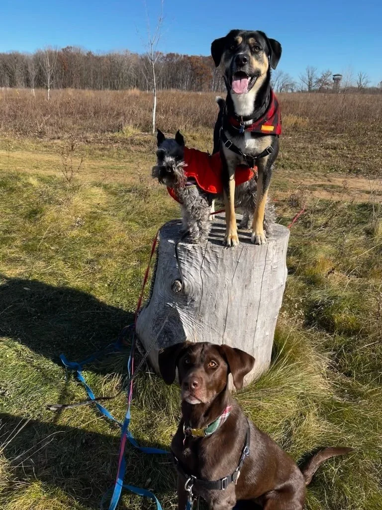 Mequon Nature Preserve 4.jpeg
