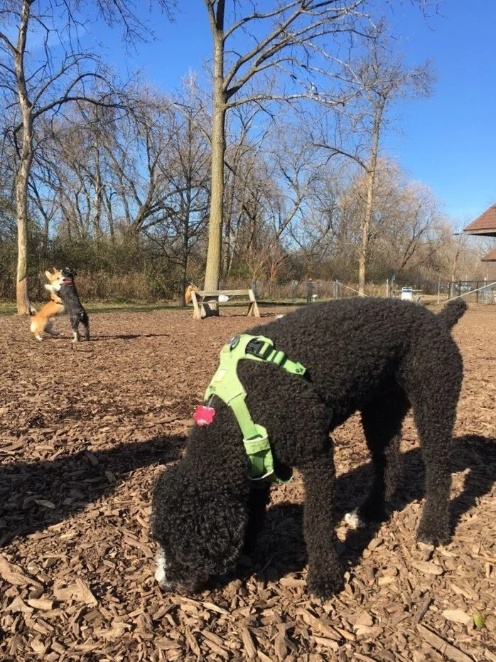 Estabrook 1.jpeg
