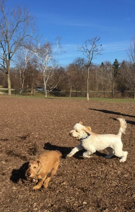 Estabrook 2.jpeg