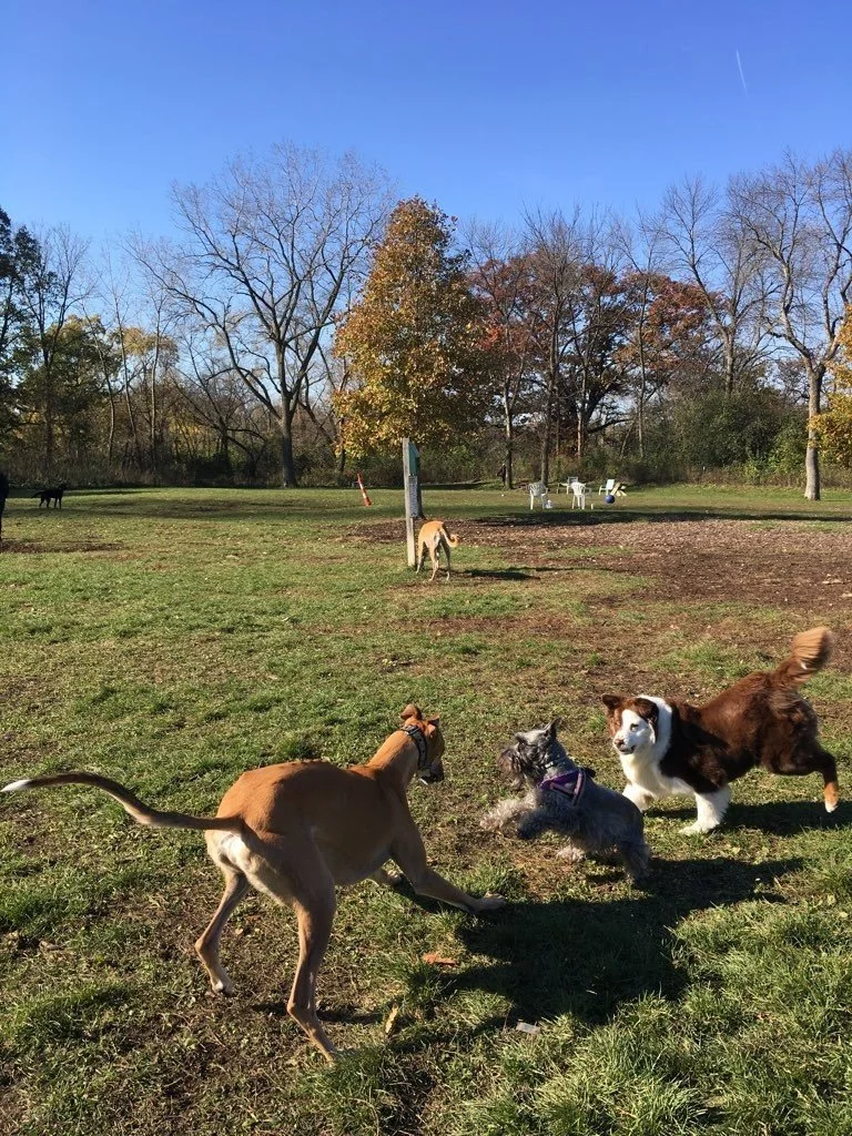 Estabrook 4.jpeg