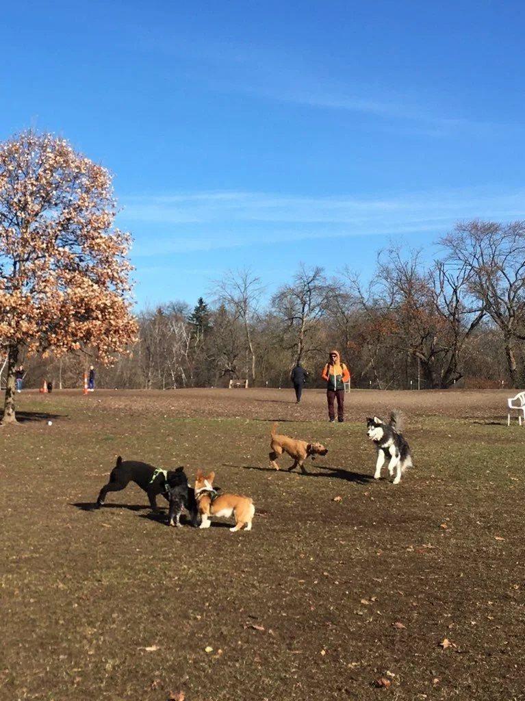 Estabrook.jpeg