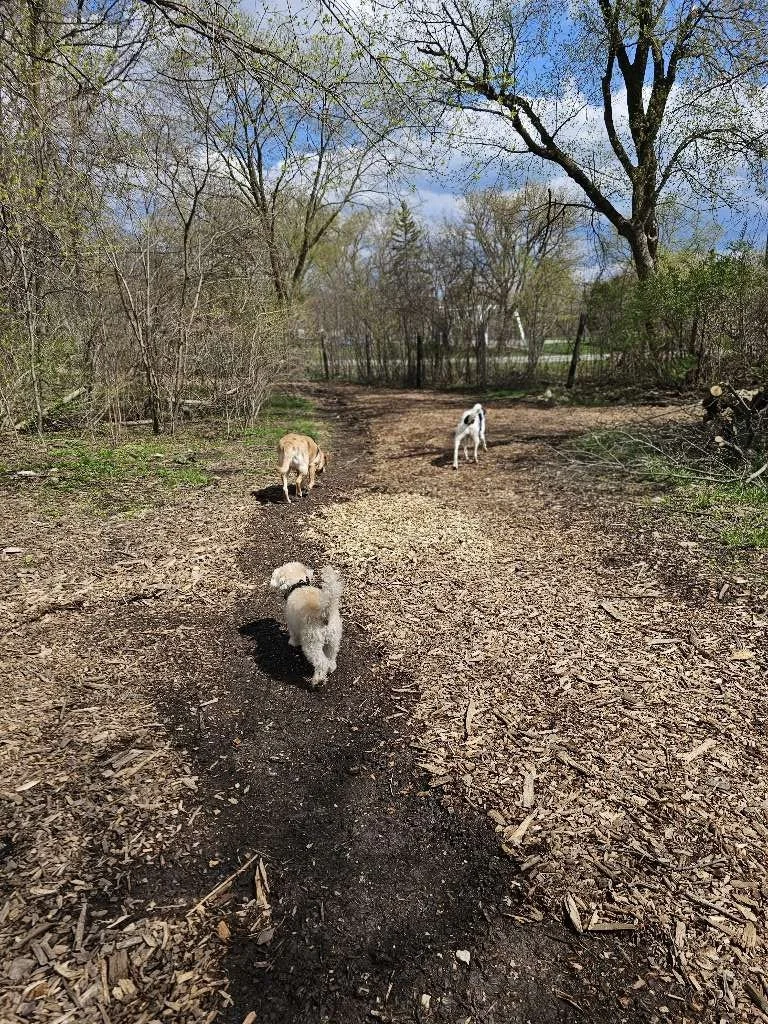 Muttland Meadows 3.jpeg