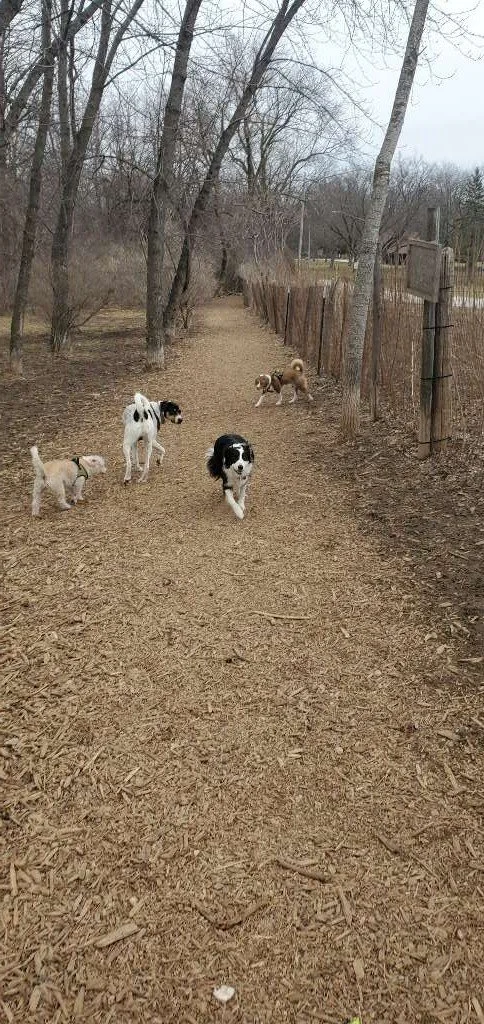 Muttland Meadows.jpeg