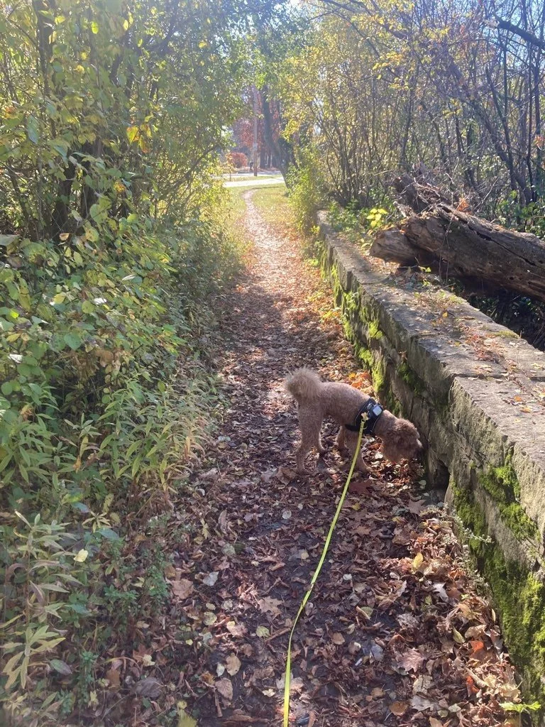 Hartung Park 1.jpeg