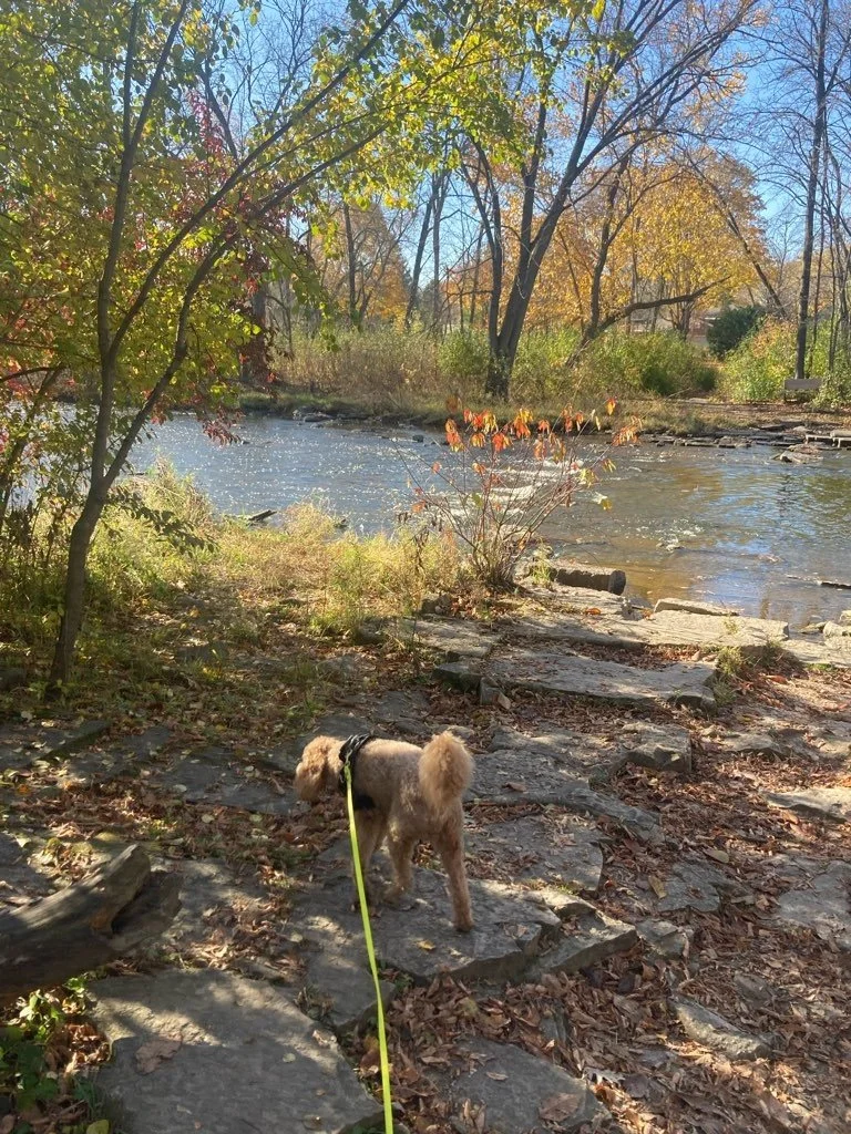 Hartung Park.jpeg