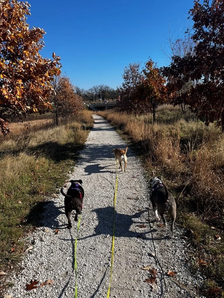 Off Leash MKE’s Tips for the Trails!