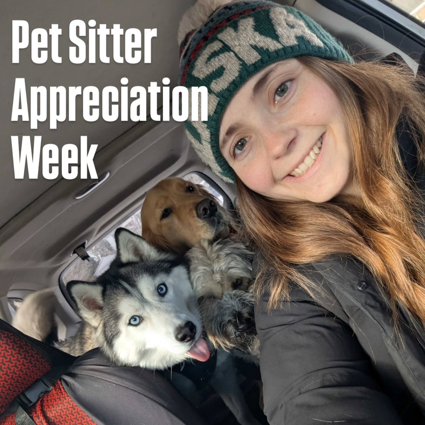 It&rsquo;s Pet Sitters Appreciation Week &mdash; and we&rsquo;re celebrating the humans behind the leashes.
At Off Leash MKE, our team is so much more than &ldquo;dog walkers.&rdquo;

They&rsquo;re: 

&bull; Early-morning rain warriors
&bull; Snow bo