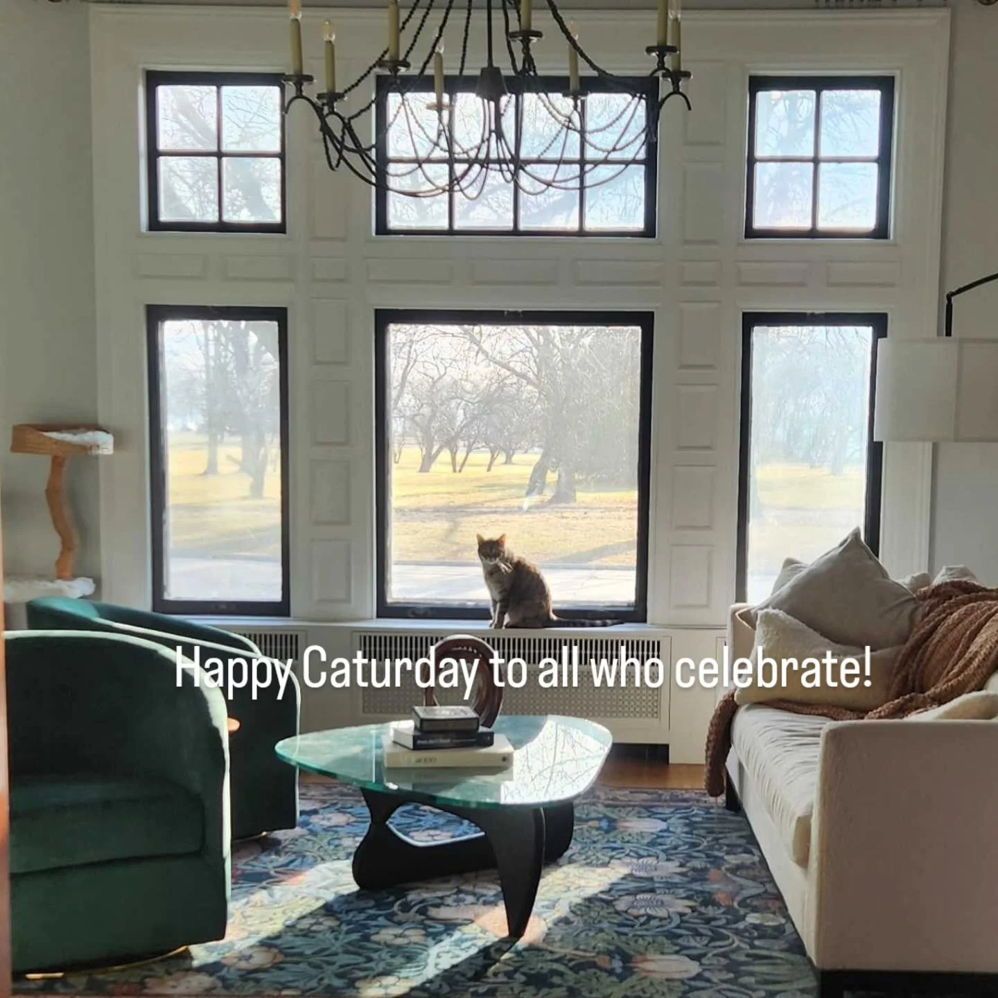 Feels like Caturday!

#CatsofMKE #Milwaukeecats #Caturdayinthepark #catsitter