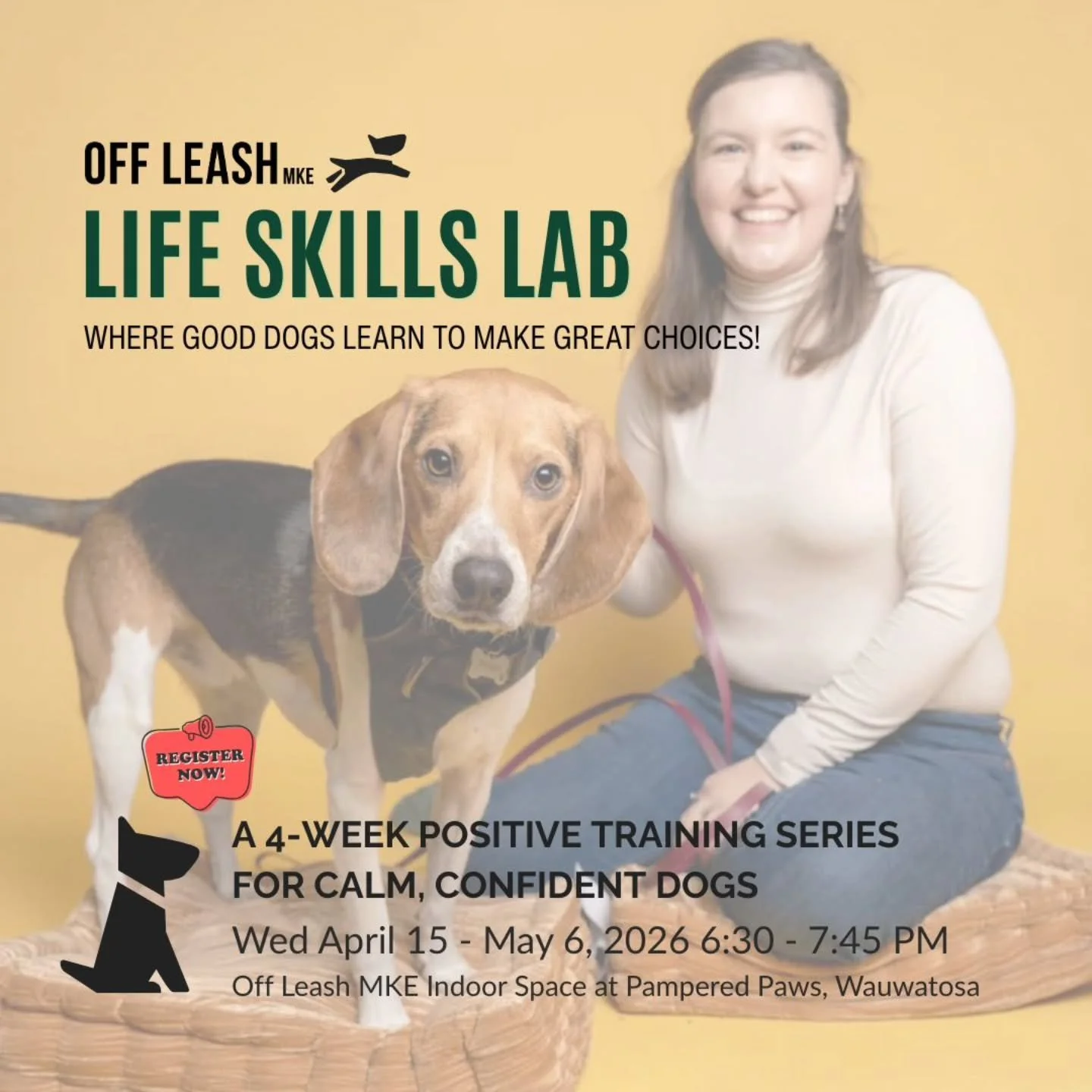 Off Leash Life Skills Lab with Amy Stel

Where good dogs learn how to make great choices!

This isn&rsquo;t obedience class&mdash;it&rsquo;s real life.

In this 4-week series, we focus on the skills that actually matter: staying calm around distracti