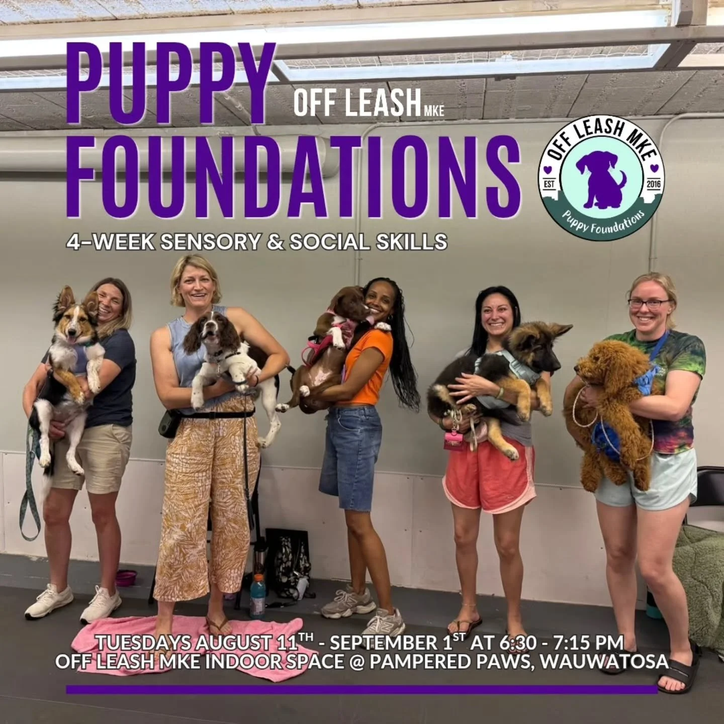 Your puppy's first few months matter. They're learning about the world every single day and we're here to help make those experiences positive, safe, and fun.
Our 4-week Puppy Foundations class is designed for puppies during their most important soci