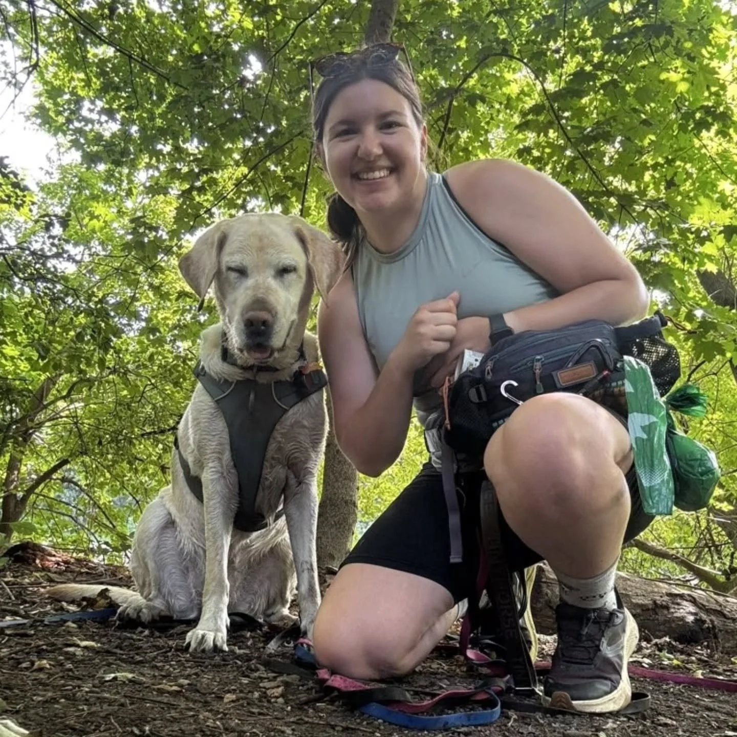 There is nothing we'd rather be doing on a Friday than hitting the trails with an amazing pack of dogs. 💚🐾

Adventure Club is so much more than a walk. It's splashing in the creek, sniffing new trails, making new friends, building confidence, and s